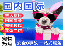 阳江合山航空快递国际宠物托运 【国
